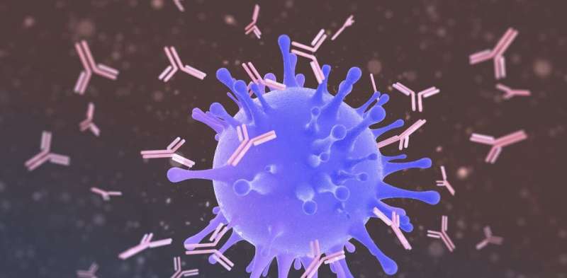 Antibody injections could fight COVID-19 infections – an infectious disease expert explains the prospects