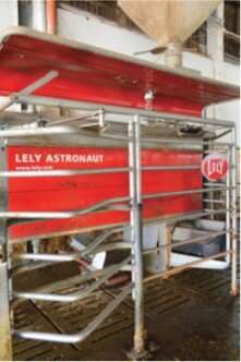 A phantom training program may help acclimate heifers to an automatic milking system