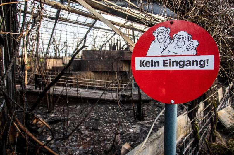 A preliminary investigation suggests that flames from flying lanterns might have sparked a fire at the Krefeld zoo tha killed do