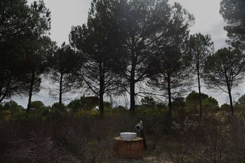 Around 100 illegal wells have been blocked off recently around Lucena del Puerto, west of Seville