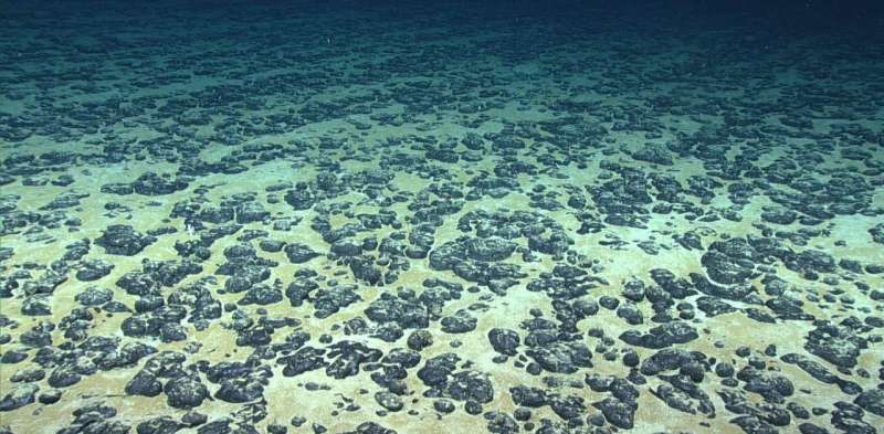 A rush is on to mine the deep seabed, with effects on ocean life that aren't well understood