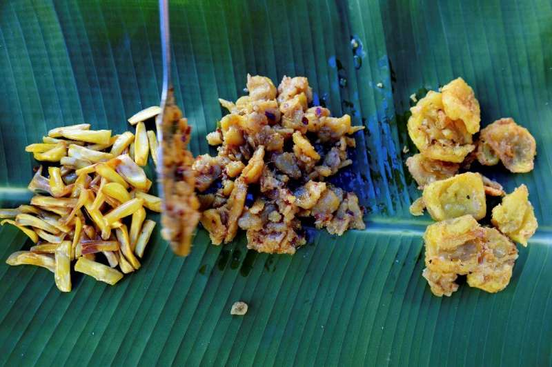 As global warming wreaks havoc on agriculture, food researchers say jackfruit could emerge as a nutritious staple crop as it is 
