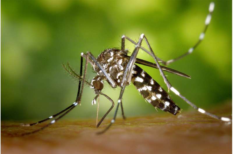 Asian tiger mosquito gains ground in Illinois