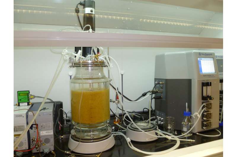 A simplified way to turn food waste into hydrogen energy