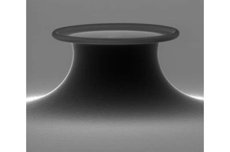 A tiny circular racetrack for light can rapidly detect single molecules