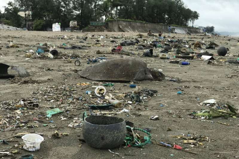 At least 20 dead sea turtles were found among piles of plastic waste washed along the Bay of Bengal beach near Cox's Bazar