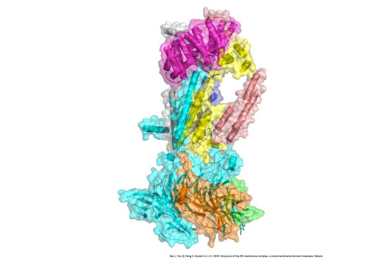 Atomic blueprint of 'molecular machine' reveals role in membrane protein installation