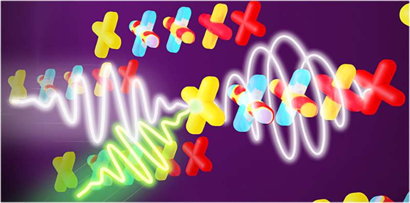 A trillion turns of light nets terahertz polarized bytes
