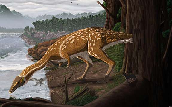 Australia’s first elaphrosaur discovered in Victoria