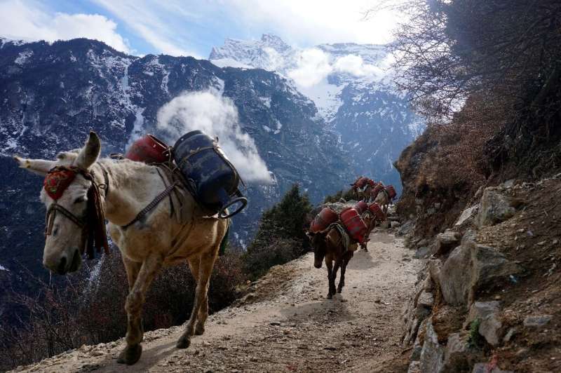Authorities last month suspended permits for all mountain expeditions over the coronavirus outbreak, forcing the Nepal army to c