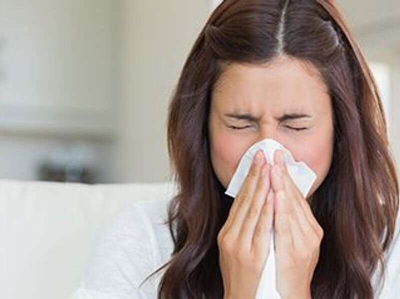 Avoid allergy flare-ups this holiday season
