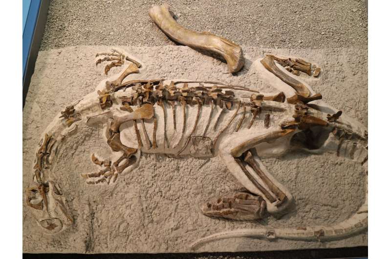 Baby dinosaurs were "little adults"