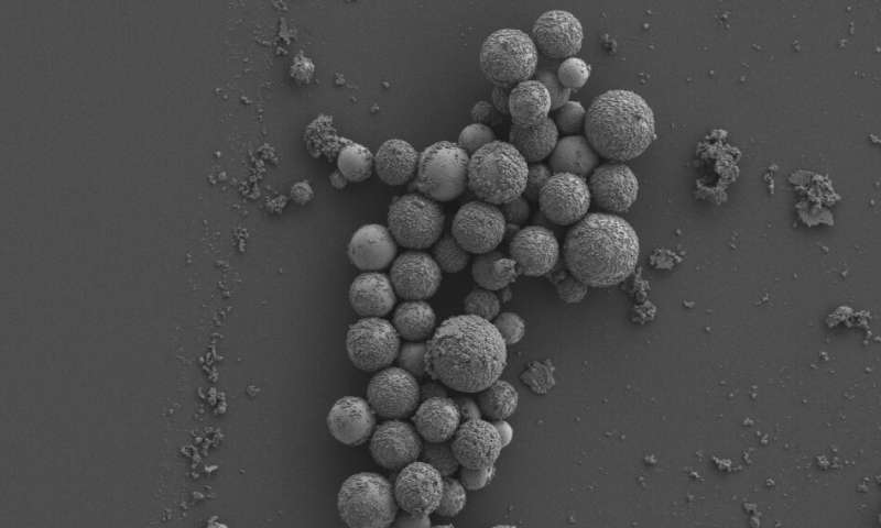 Bacteria shredding tech to fight drug-resistant superbugs