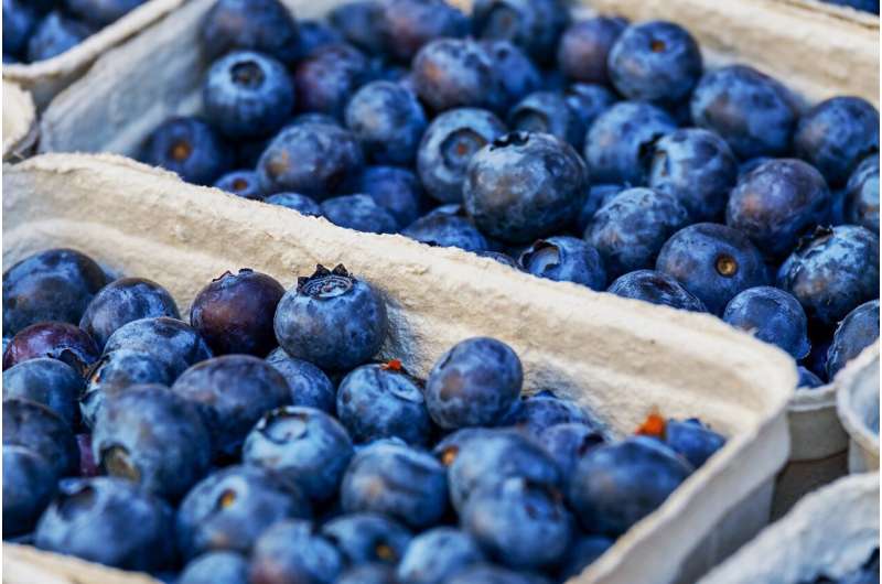 Berry good news -- new compound from blueberries could treat inflammatory disorders