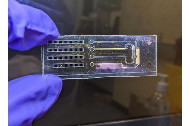 Bioelectronic device achieves unprecedented control of cell membrane voltage