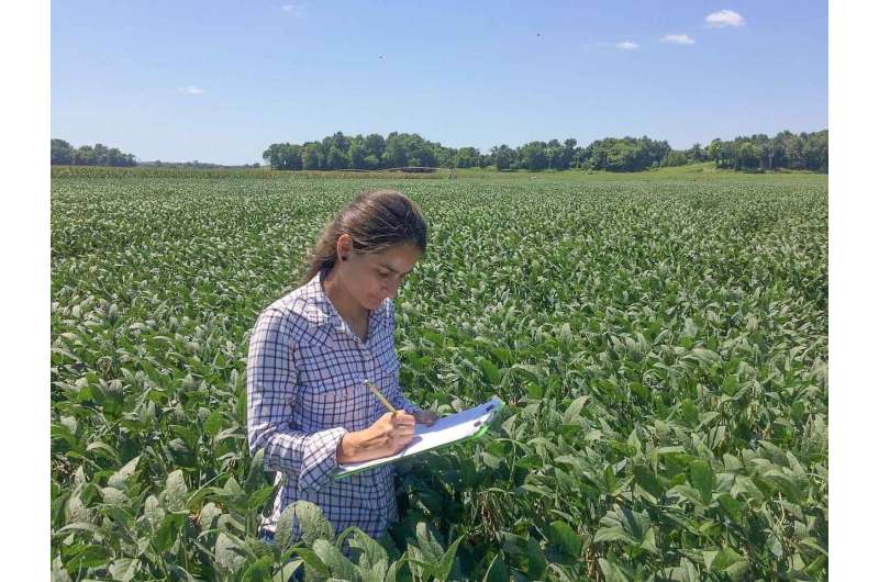 Biological control agents can protect soybeans from Sudden Death Syndrome (SDS)