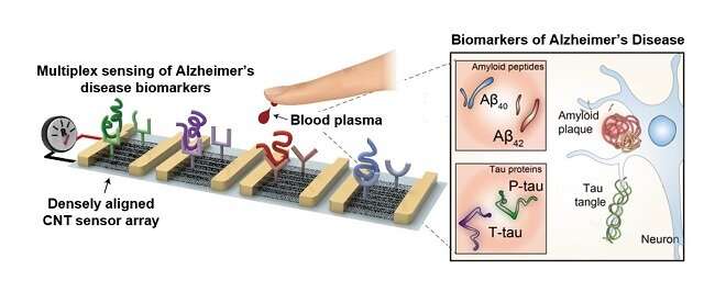 Blood-based multiplexed diagnostic sensor helps to accurately detect Alzheimer’s disease