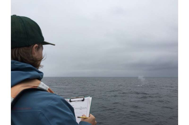 Blue whales change their tune before migrating