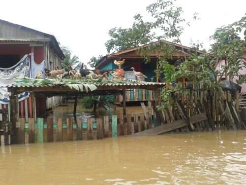 Brazilian communities fight floods together – with memories and an app