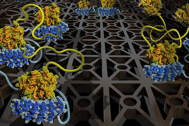 Breakthrough study on molecular interactions could improve development of new medicines