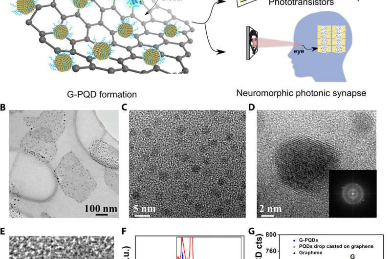 Building ultrasensitive and ultrathin phototransistors and photonic synapses using hybrid superstructures