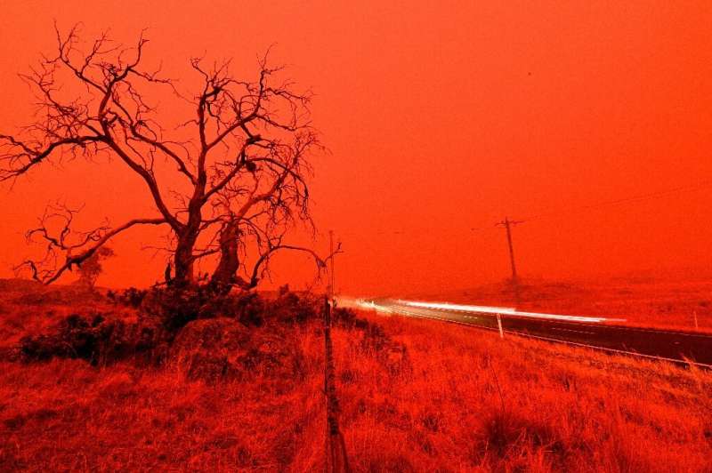 Bushfires are threatening wildlife across Australia
