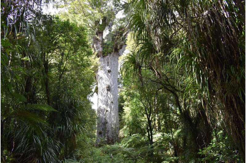 Call to restore Indigenous names for plants and animals