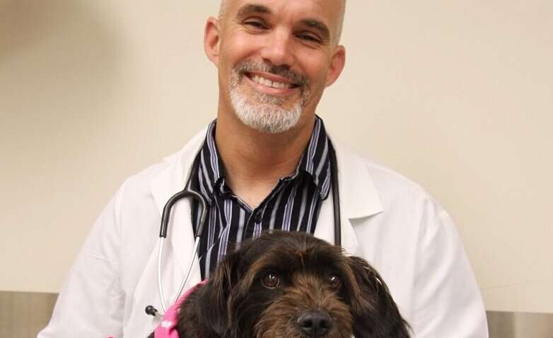 Canine bone cancer successfully treated with vaccine made from dog’s own tumor