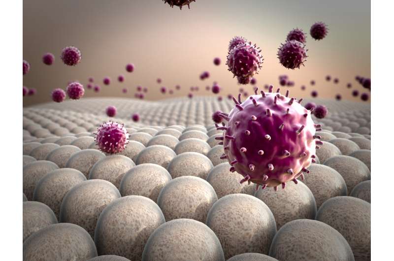 CAR macrophages go beyond T cells to fight solid tumors