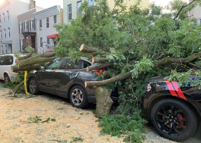 Cars are buried under the remains of a fallen tree in the Greenpoint area of Brooklyn New York on August 4, 2020