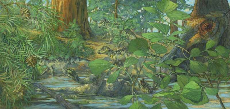 Cartilage cells, chromosomes and DNA preserved in 75 million-year-old baby duck-billed dinosaur