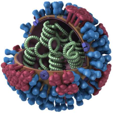 Cellular factor helps package flu genome