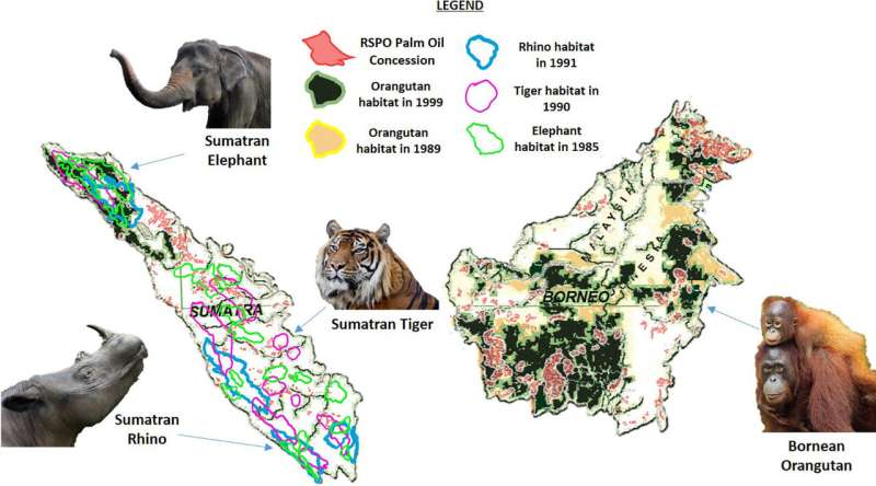 Certified “sustainable” palm oil replaced endangered mammals habitat and biodiverse tropical forests in the last 30 year