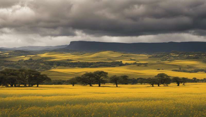 Changes in South Africa's rainfall seasons could affect farming and water resources