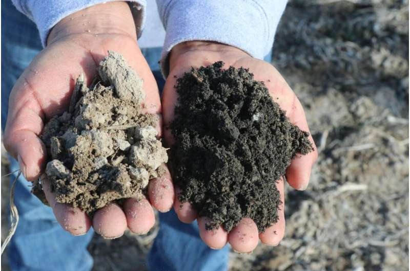 Newswise: Char Application Restores Soil Carbon and Productivity