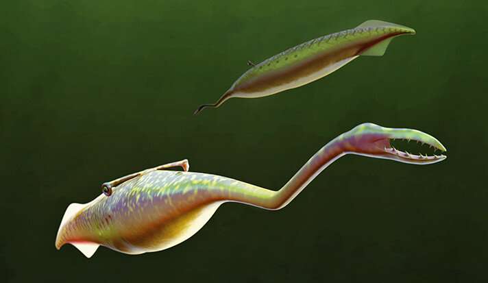 Chemical analysis of Tully monster suggests it was a vertebrate