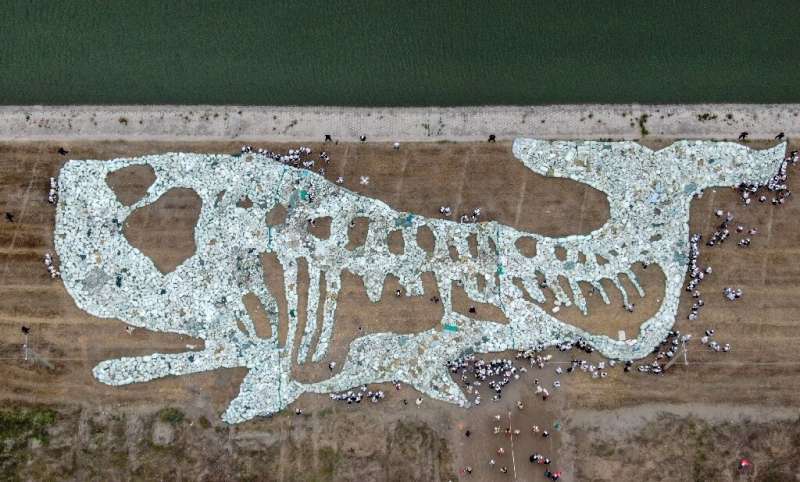 Chinese environmentalists created a 68-metre long whale formed by plastic waste collected from the ocean in June 2019 to draw at