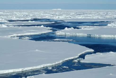 Chlamydia-related bacteria discovered deep below the Arctic Ocean