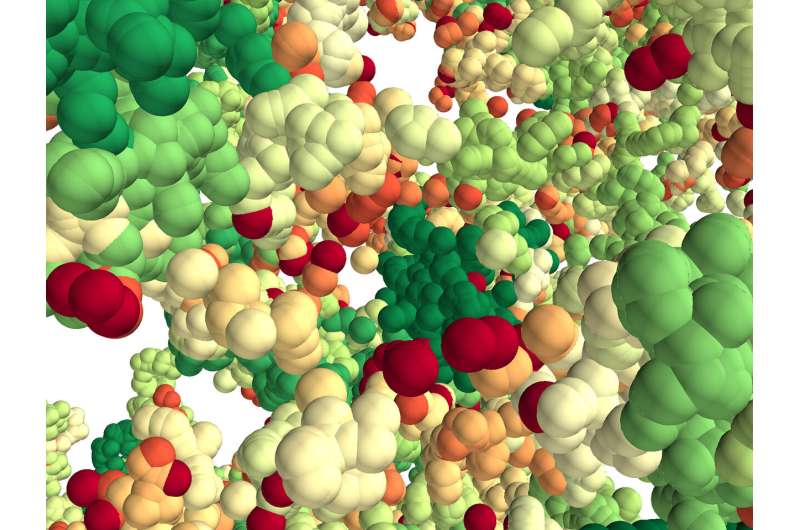 Chromatin organizes itself into 3D 'forests' in single cells