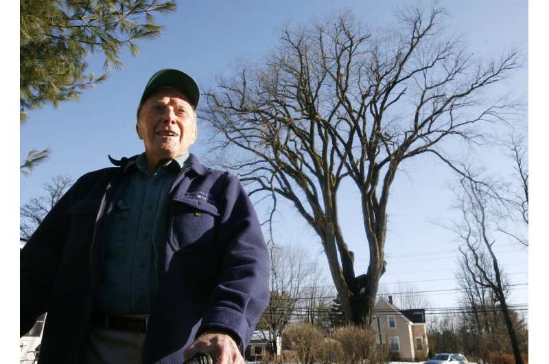 Clones help famous elm tree named Herbie live on, for now