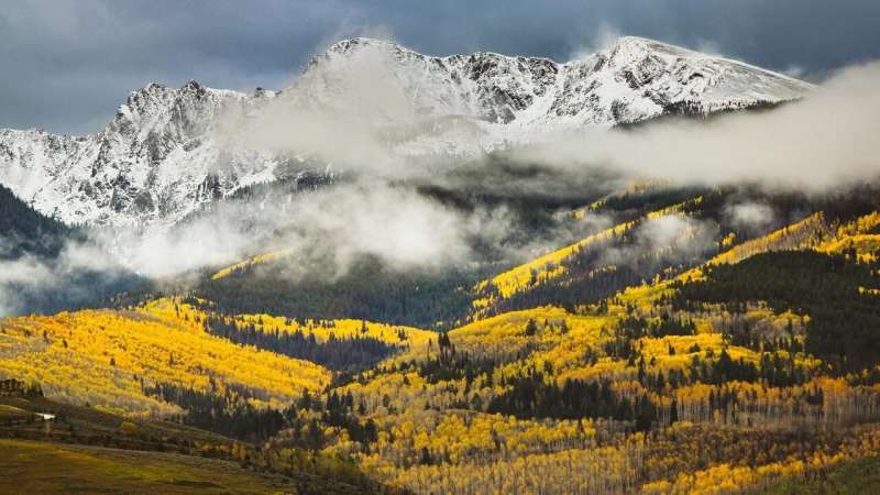 Colorado's famous aspens expected to decline due to climate change