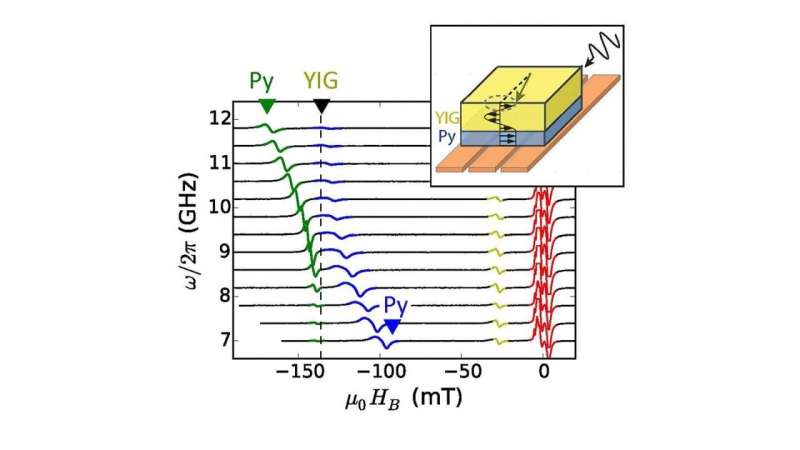 Coupled magnetic materials show interesting properties for quantum applications