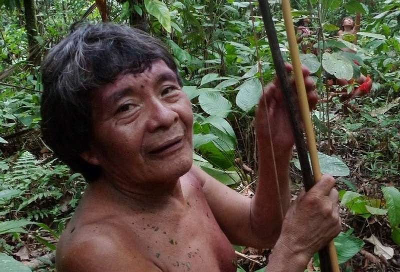 COVID-19, isolated indigenous peoples and the history of the Amazon