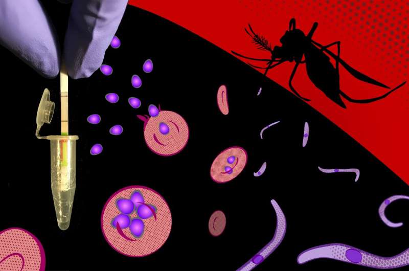CRISPR-based malaria testing on-the-fly