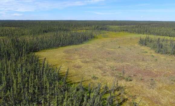 Dal Science study shows that restoration of peatlands can reduce impacts of climate change