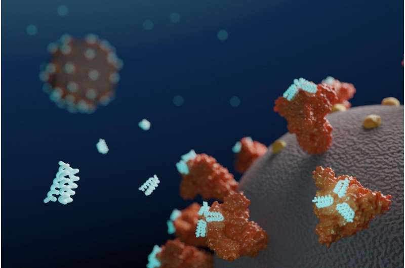 Designed antiviral proteins inhibit SARS-CoV-2 in the lab