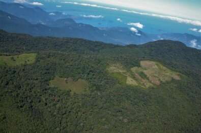 Destruction of an Atlantic rain forest fragment raises the local temperature