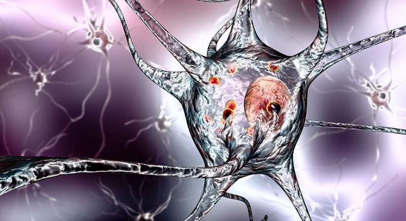 Diverting cells’ energy pathway could pave way for new Parkinson’s treatments