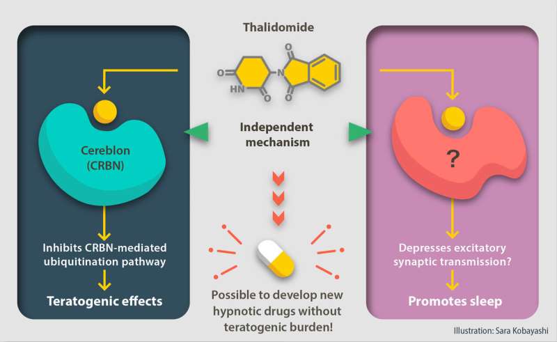 Don’t sleep on the hypnotic potential of thalidomide
