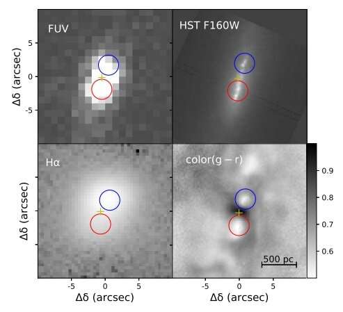 Double nuclei in the galaxy IC 676 investigated by researchers